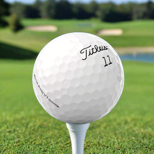 Titleist Pro V 1