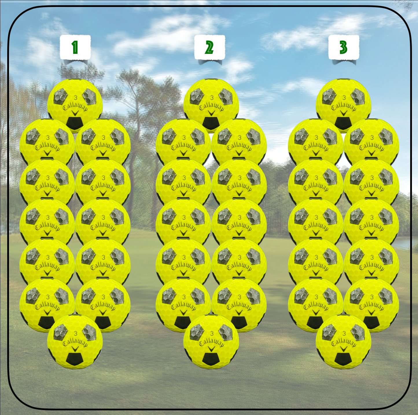 Birdie Pack: The Best Golfer