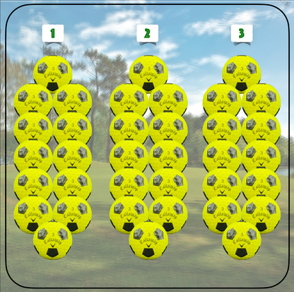 Birdie Pack: The Best Golfer